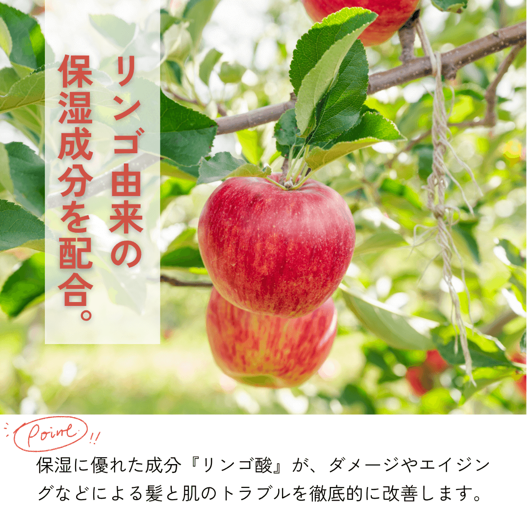 リンゴ酸配合 抗酸化作用で保湿力抜群の成分